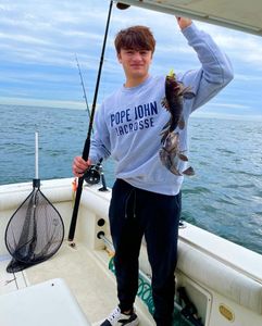 Fishing for Black Sea Bass in Raritan Bay